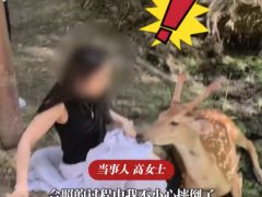 女子和小鹿合影不慎摔倒后被咬 高女士说了什么内容？