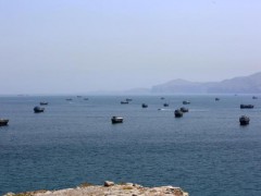 霍尔木兹海峡袭船通报里的“秘密” 通报差异背后的真相