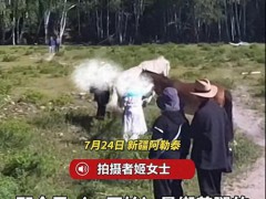 新疆一女游客坚持摸马被当场踢翻 {警惕性}高勿随意接触